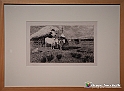 VBS_1848 - Fattori. Capolavori e aperture sul ‘900
